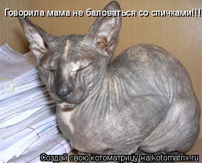 Котоматрица: Говорила мама не баловаться со спичками!!!