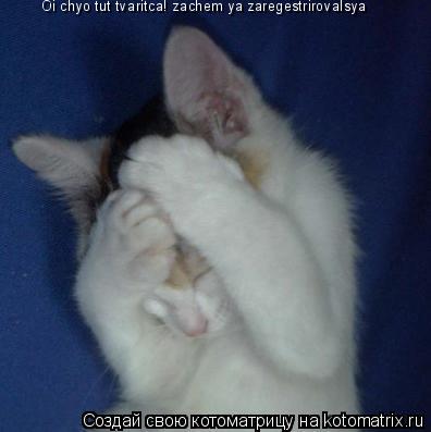 Котоматрица: Oi chyo tut tvaritca! zachem ya zaregestrirovalsya
