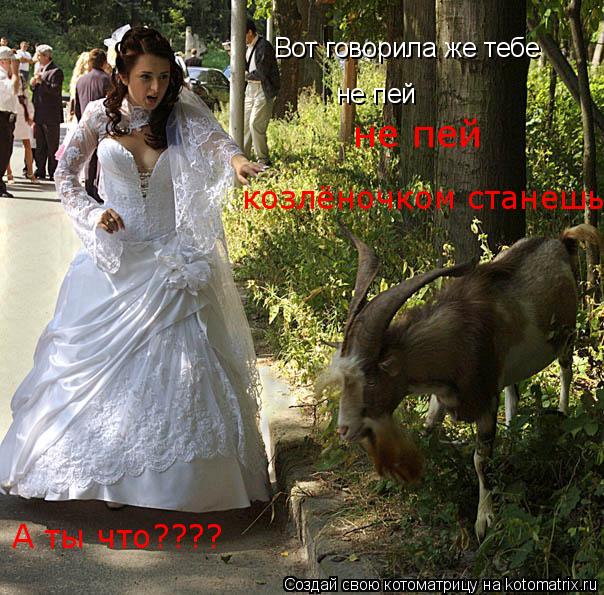 Котоматрица: Вот говорила же тебе  не пей не пей козлёночком станешь А ты что????