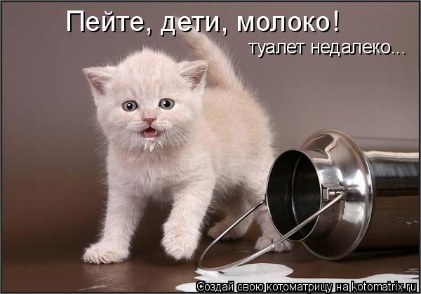 Котоматрица: Пейте, дети, молоко! туалет недалеко...