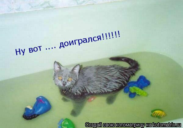 Котоматрица: Ну вот .... доигрался!!!!!!