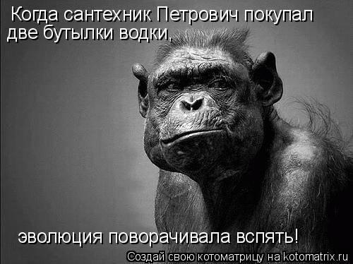 Котоматрица: Когда сантехник Петрович покупал  две бутылки водки, эволюция поворачивала вспять!