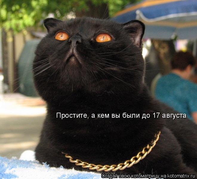 Котоматрица: Простите, а кем вы были до 17 августа