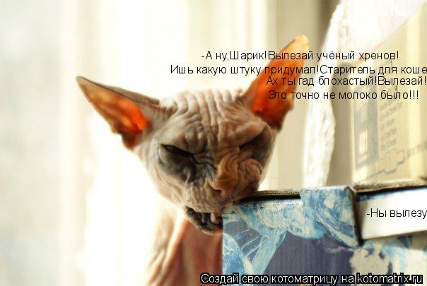Котоматрица: -А ну,Шарик!Вылезай учёный хренов! Ишь какую штуку придумал!Старитель для кошек. Ах ты гад блохастый!Вылезай! Это точно не молоко было!!! -Ны в