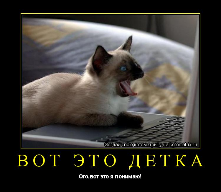 Котоматрица: Вот это детка Ого,вот это я понимаю!