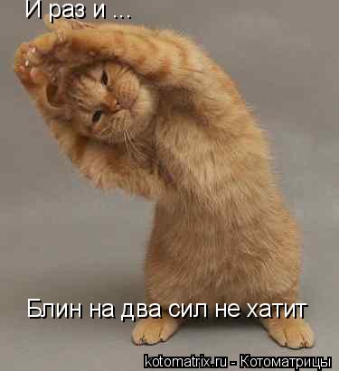 Котоматрица: И раз и ... Блин на два сил не хатит