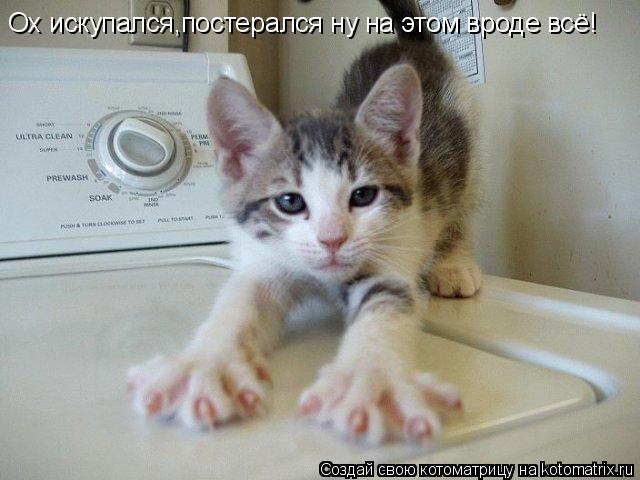 Котоматрица: Ох искупался,постерался ну на этом вроде всё!