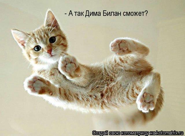Котоматрица: - А так Дима Билан сможет?