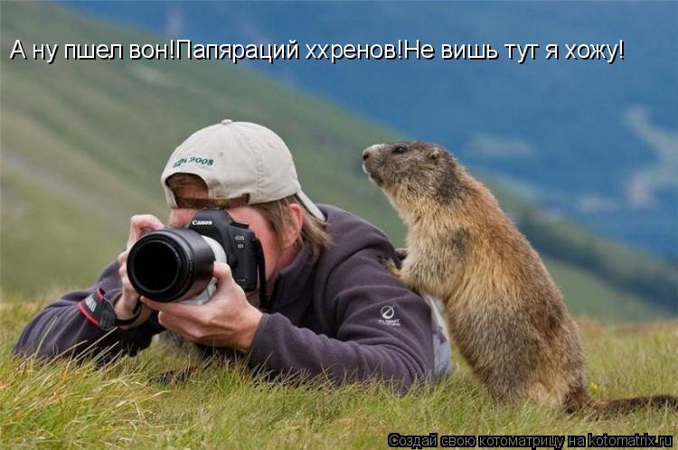 А ну пшел вон!Папяраций ххренов!Не вишь тут я хожу!... Котоматрица: А ну пшел вон!Папяраций ххренов!Не вишь тут я хожу!