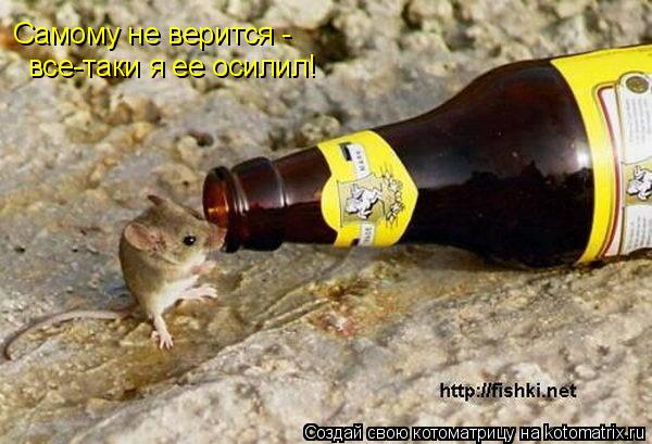 все-таки я ее осилил! Самому не верится -... Котоматрица: все-таки я ее осилил! Самому не верится -