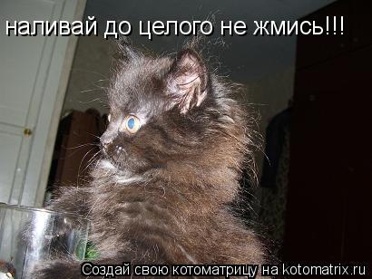 наливай до целого не жмись!!!... Котоматрица: наливай до целого не жмись!!!