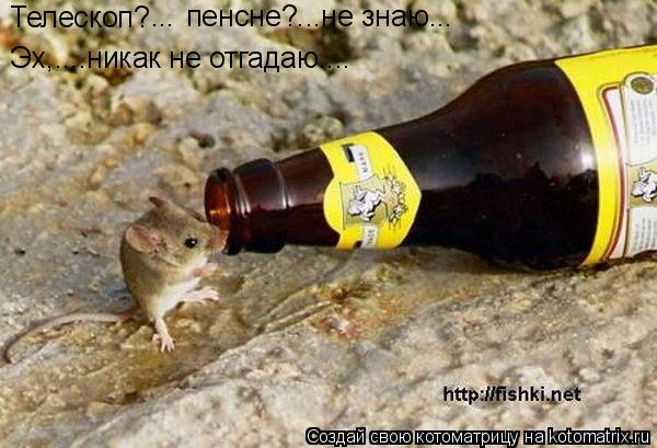 Котоматрица: Телескоп?  Эх,....никак не отгадаю.... ...  пенсне?...не знаю...