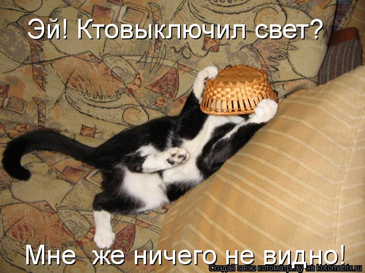 Котоматрица: Эй! Ктовыключил свет? Мне  же ничего не видно! Мне  же ничего не видно!