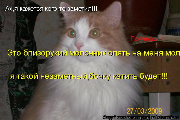 Котоматрица: Ах,я кажется кого-то заметил!!! Прячтесь!!! Это близорукий молочник опять на меня молоко лить будет!!! ,я такой незаметный,бочку катить будет!!!