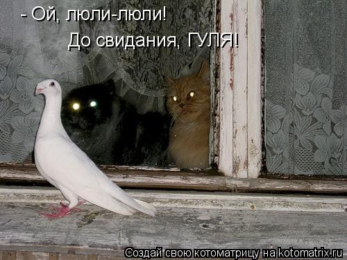 Котоматрица: - Ой, люли-люли! До свидания, ГУЛЯ!