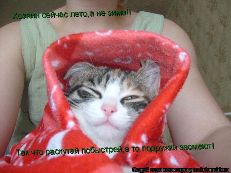 Котоматрица: Хозяин сейчас лето,а не зима!! Так что раскутай побыстрей,а то подружки засмеют! Так что раскутай побыстрей,а то подружки засмеют!