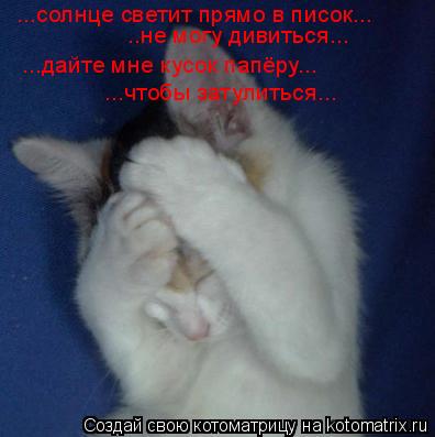 ...солнце светит прямо в писок... ..не могу дивиться... ...дайте мне кусок папёру... ...чтобы затулит... Котоматрица: ...солнце светит прямо в писок... ..не могу дивиться... ...дайте мне кусок папёру... ...чтобы затулиться...