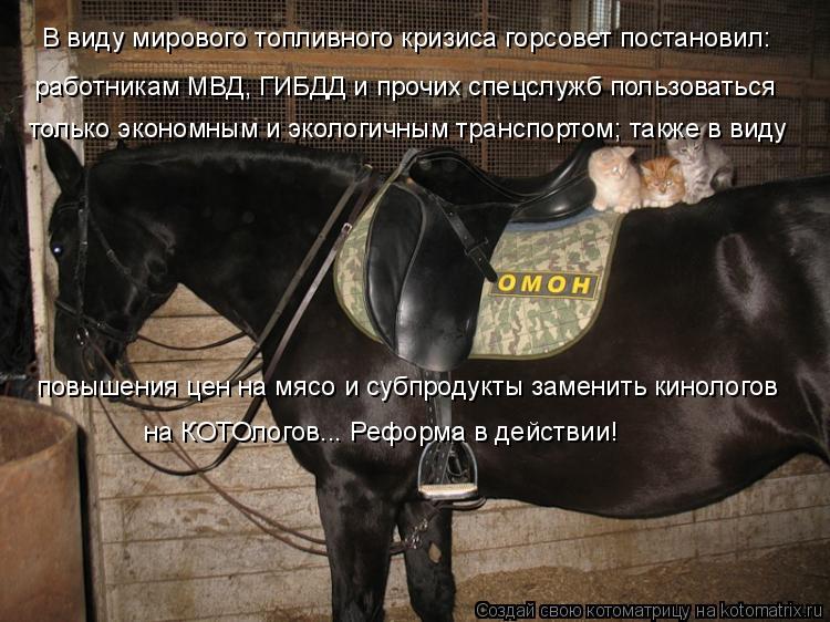 Котоматрица: В виду мирового топливного кризиса горсовет постановил: работникам МВД, ГИБДД и прочих спецслужб пользоваться только экономным и экологич