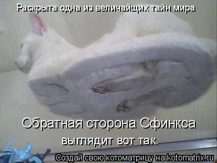 Обратная сторона Сфинкса Раскрыта одна из величайщих тайн мира выглядит вот так.... Котоматрица: Обратная сторона Сфинкса Раскрыта одна из величайщих тайн мира выглядит вот так.
