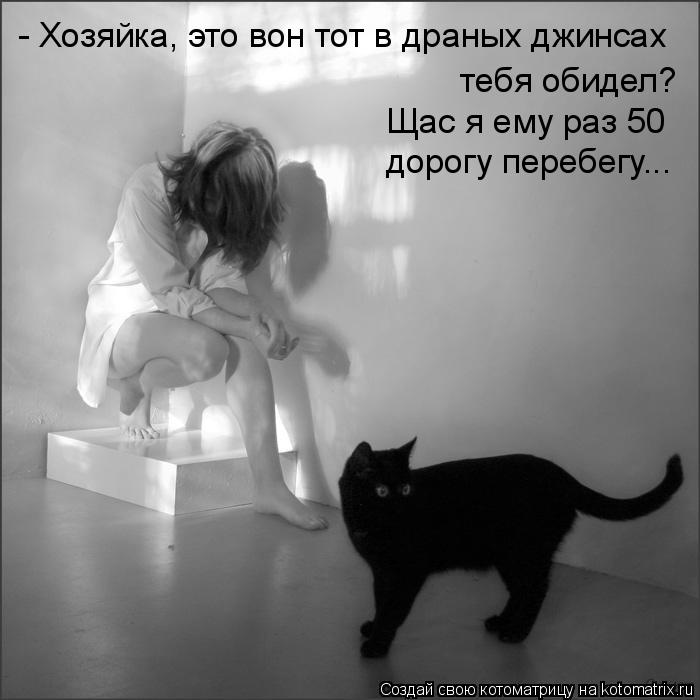 - Хозяйка, это вон тот в драных джинсах тебя обидел? Щас я ему раз 50 дорогу перебегу...... Котоматрица: - Хозяйка, это вон тот в драных джинсах тебя обидел? Щас я ему раз 50 дорогу перебегу...