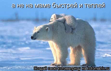 Котоматрица: а не на маме быстрей и теплей