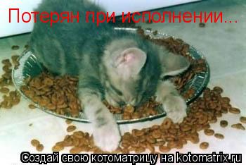Потерян при исполнении...... Котоматрица: Потерян при исполнении...