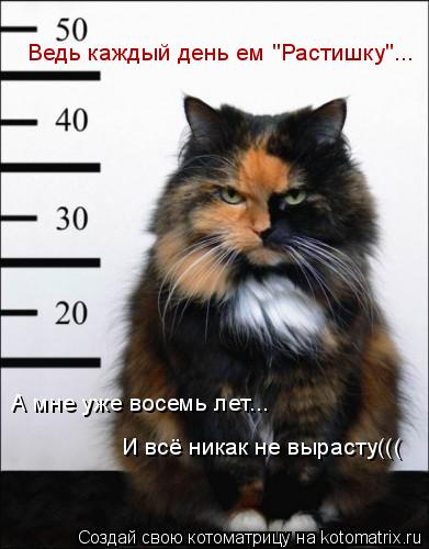 Котоматрица: Ведь каждый день ем "Растишку"... А мне уже восемь лет... И всё никак не вырасту(((