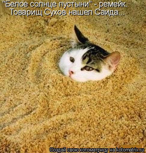 "Белое солнце пустыни" - ремейк. Товарищ Сухов нашел Саида...... Котоматрица: "Белое солнце пустыни" - ремейк. Товарищ Сухов нашел Саида...