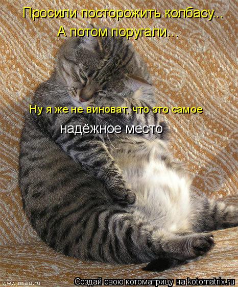 Котоматрица: Просили посторожить колбасу... А потом поругали... Ну я же не виноват, что это самое надёжное место