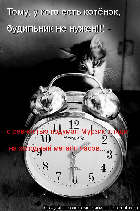 Котоматрица: Тому, у кого есть котёнок, будильник не нужен!!! -  с ревностью подумал Мурзик, глядя на холодный металл часов...