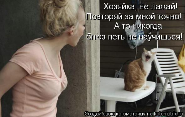 Котоматрица: Хозяйка, не лажай! Повторяй за мной точно! А то никогда  блюз петь не научишься!