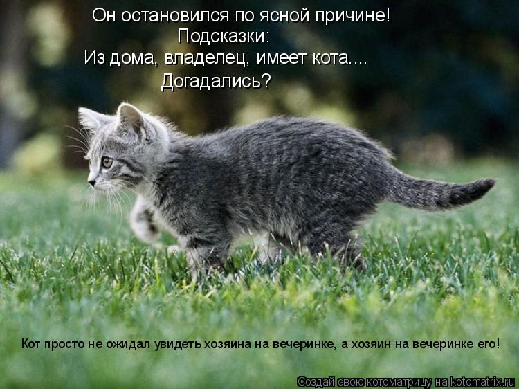 Котоматрица: Он остановился по ясной причине! Подсказки: Из дома, владелец, имеет кота.... Догадались? Кот просто не ожидал увидеть хозяина на вечеринке, а 