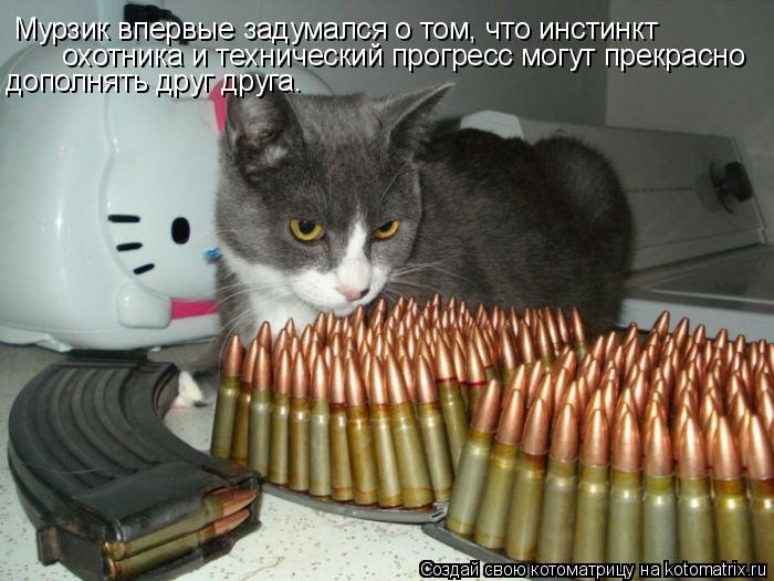 Котоматрица: Мурзик впервые задумался о том, что инстинкт охотника и технический прогресс могут прекрасно  дополнять друг друга…