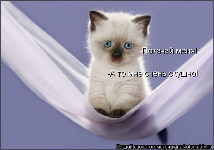 Котоматрица: -Покачай меня! -А то мне очень скушно!
