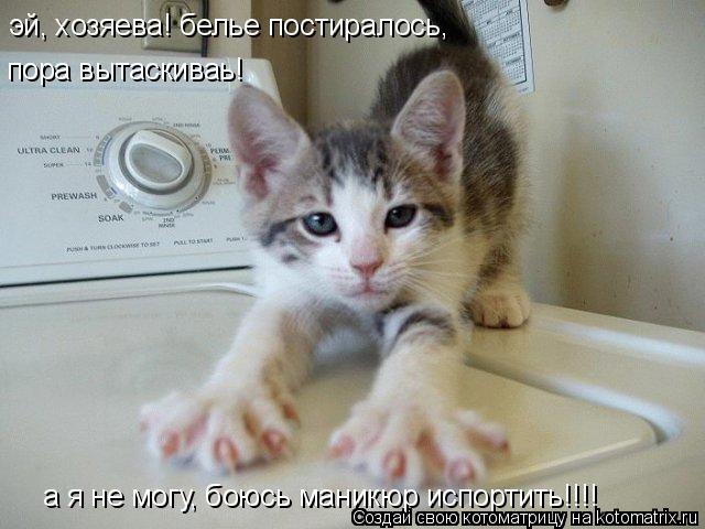 Котоматрица: эй, хозяева! белье постиралось, пора вытаскиваь! ...... а я не могу, боюсь маникюр испортить!!!!