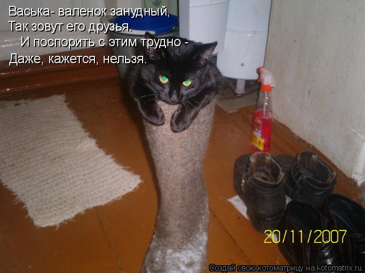 Васька- валенок занудный, Васька- валенок занудный, Так зовут его друзья. И поспорить с этим трудно -... Котоматрица: Васька- валенок занудный, Васька- валенок занудный, Так зовут его друзья. И поспорить с этим трудно - Даже, кажется, нельзя.