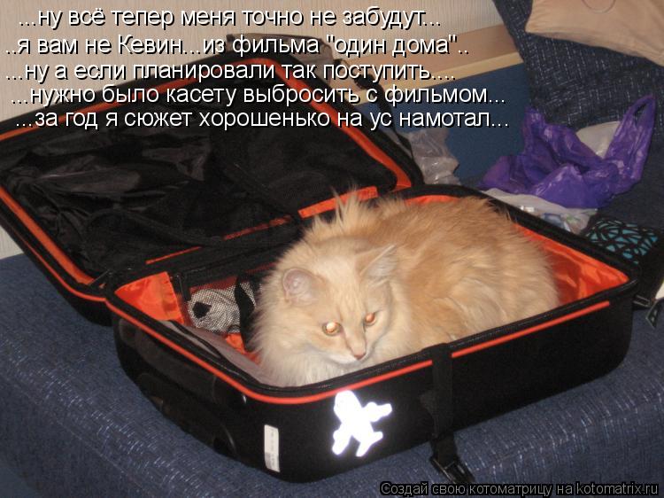 ...ну всё тепер меня точно не забудут... ..я вам не Кевин...из фильма "один дома".. ...ну а если план... Котоматрица: ...ну всё тепер меня точно не забудут... ..я вам не Кевин...из фильма "один дома".. ...ну а если планировали так поступить.... ...нужно было касету вы
