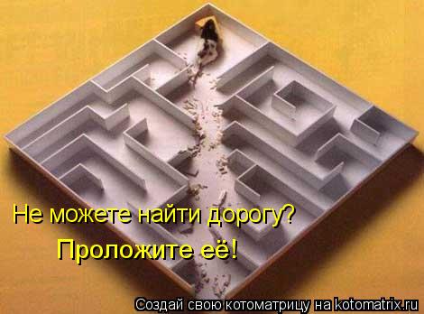 Не можете найти дорогу? Проложите её!... Котоматрица: Не можете найти дорогу? Проложите её!