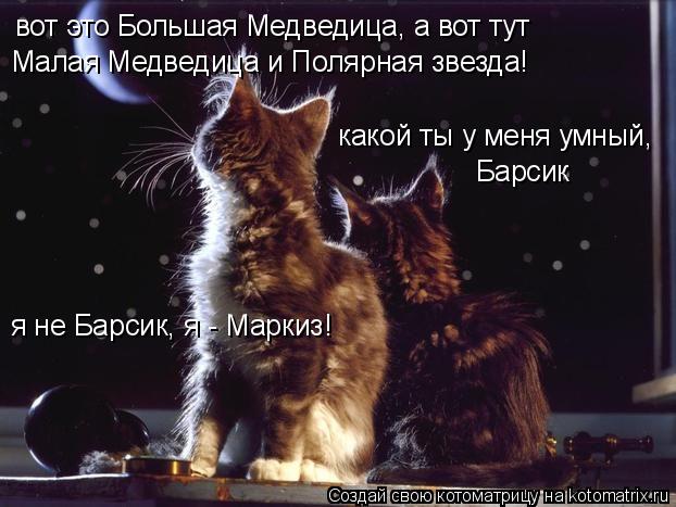вот это Большая Медведица, а вот тут Малая Медведица и Полярная звезда! какой ты у меня умный, Барси... Котоматрица: вот это Большая Медведица, а вот тут Малая Медведица и Полярная звезда! какой ты у меня умный, Барсик я не Барсик, я - Маркиз!