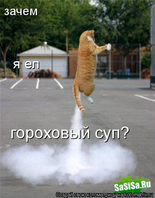 Котоматрица: зачем  гороховый суп? я ел
