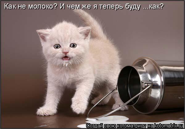 Котоматрица: Как не молоко? И чем же я теперь буду ...как?