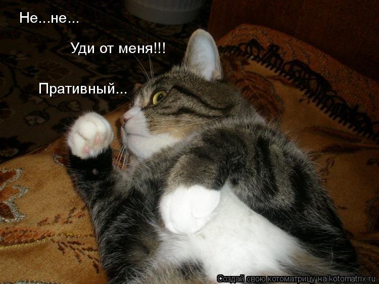 Котоматрица: Не...не... Пративный... Уди от меня!!!