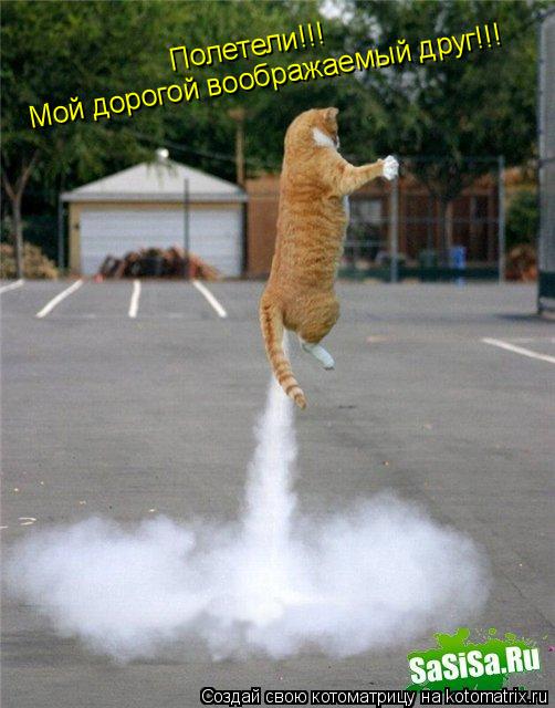 Мой дорогой воображаемый друг!!! Полетели!!!... Котоматрица: Мой дорогой воображаемый друг!!! Полетели!!!