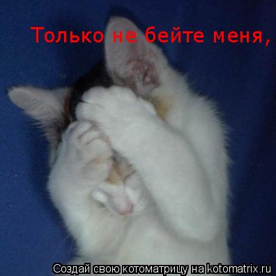 Только не бейте меня, пожаааааалуйста! Только не бейте меня, пожаааааалуйста!... Котоматрица: Только не бейте меня, пожаааааалуйста! Только не бейте меня, пожаааааалуйста!