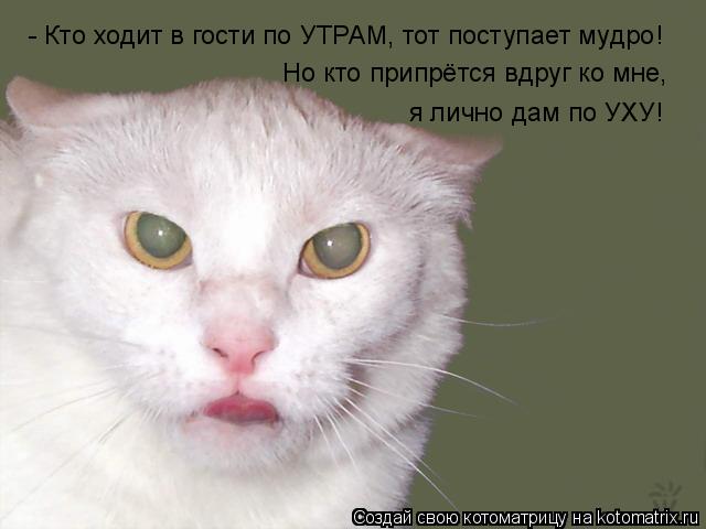 Котоматрица: - Кто ходит в гости по УТРАМ, тот поступает мудро! Но кто припрётся вдруг ко мне, я лично дам по УХУ!