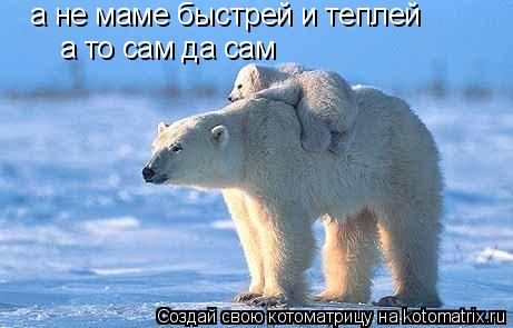 Котоматрица: а не маме быстрей и теплей а то сам да сам