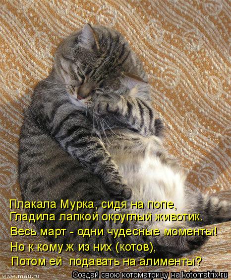 Гладила лапкой округлый животик. Весь март - одни чудесные моменты! Но к кому ж из них (котов), Пото... Котоматрица: Гладила лапкой округлый животик. Весь март - одни чудесные моменты! Но к кому ж из них (котов), Потом ей подавать на алименты? Плакала Мурка,