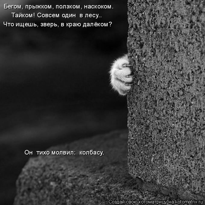 Бегом, прыжком, ползком, наскоком… Тайком! Совсем один в лесу…. Что ищешь, зверь, в краю далёком? Он... Котоматрица: Бегом, прыжком, ползком, наскоком… Тайком! Совсем один в лесу…. Что ищешь, зверь, в краю далёком? Он тихо молвил: колбасу.