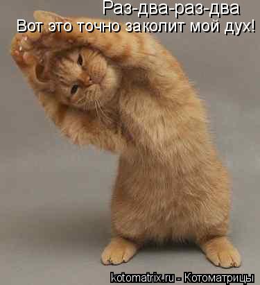 Котоматрица: Раз-два-раз-два Вот это точно заколит мой дух!
