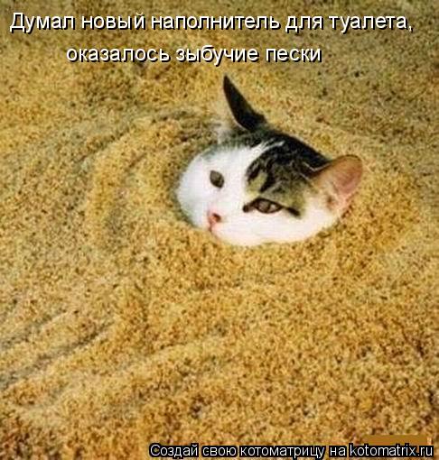 Котоматрица: Думал новый наполнитель для туалета, оказалось зыбучие пески